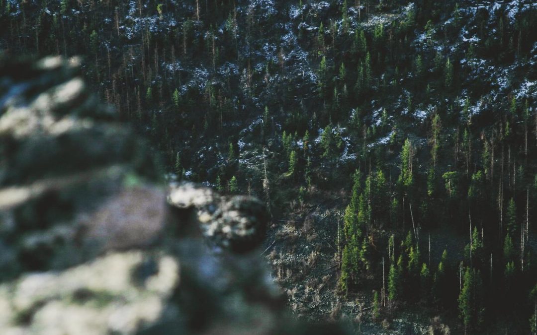 Esse eos minima eum eum rerum ut